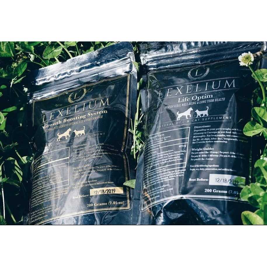 Weight Gainer Supplement for Dogs & Cats O142200