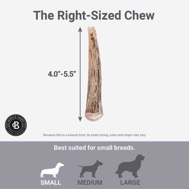 Deer Antler Dog Chew R191