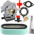 Carburetor with Air Filter and Fuel Filter D89124