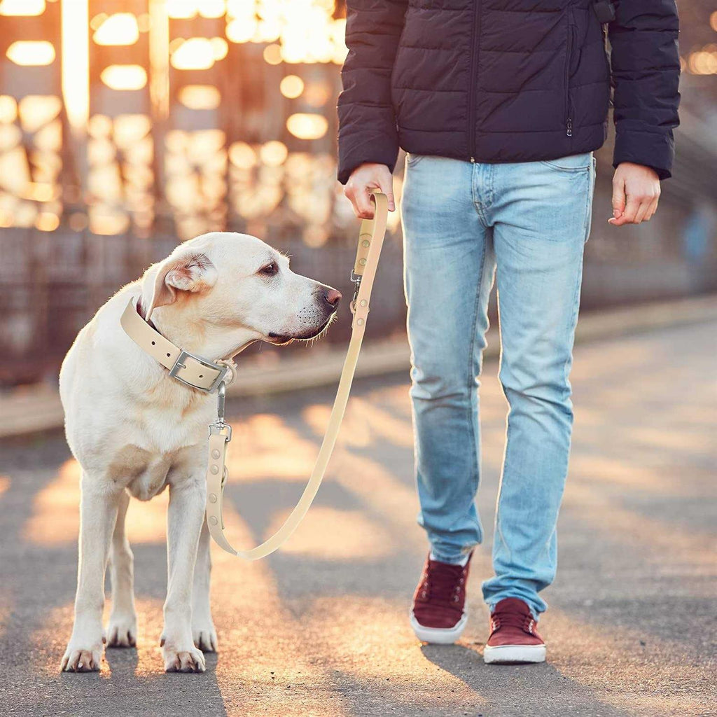 Waterproof Dog Leash with 2 Hooks R131