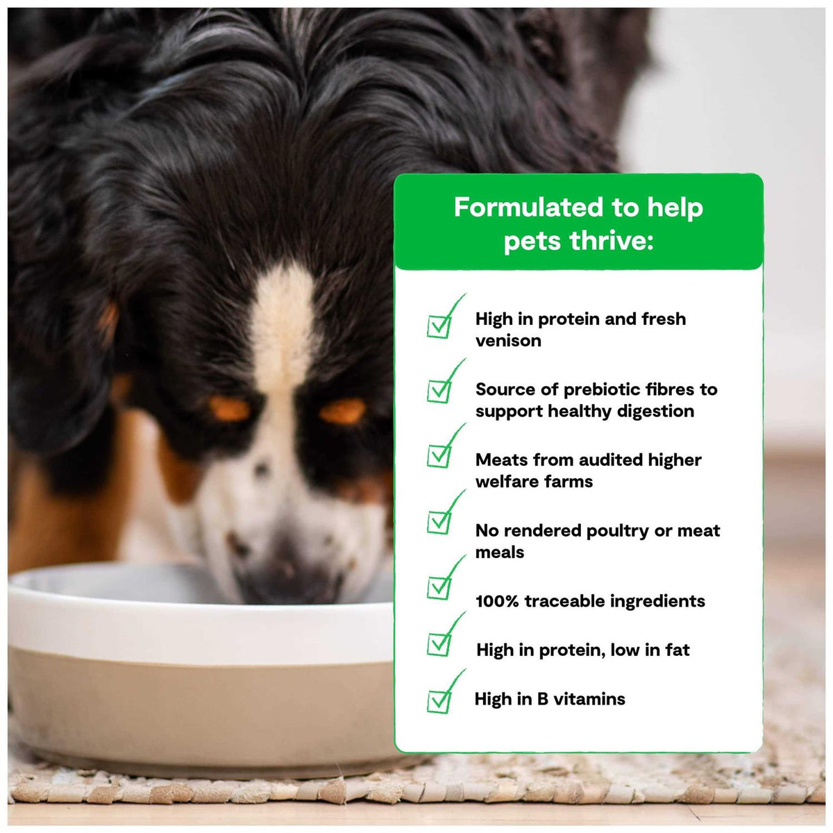Grain Free Dry Dog Food Q138478