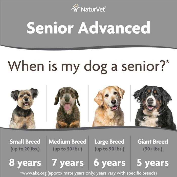 Senior Incontinence Soft Chews Z260