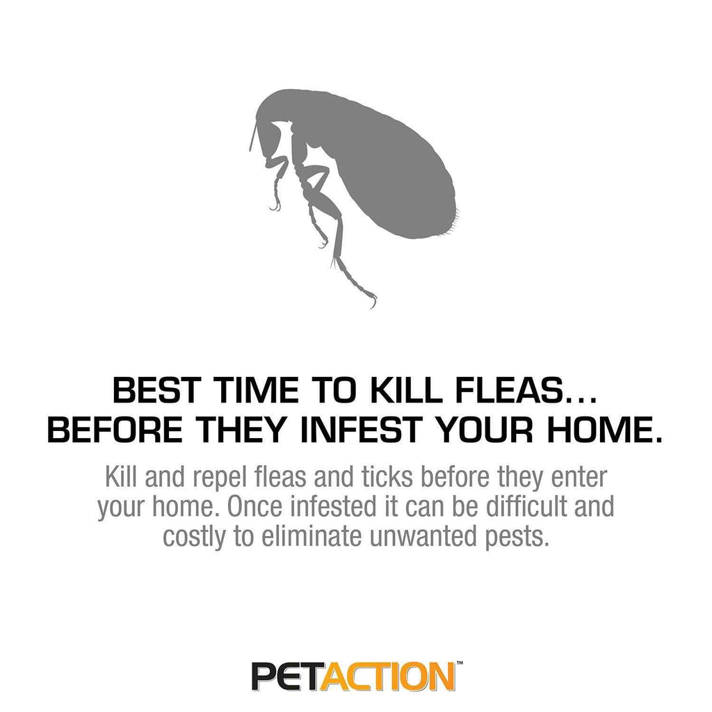 Cat and Kitten Flea Treatment L43508