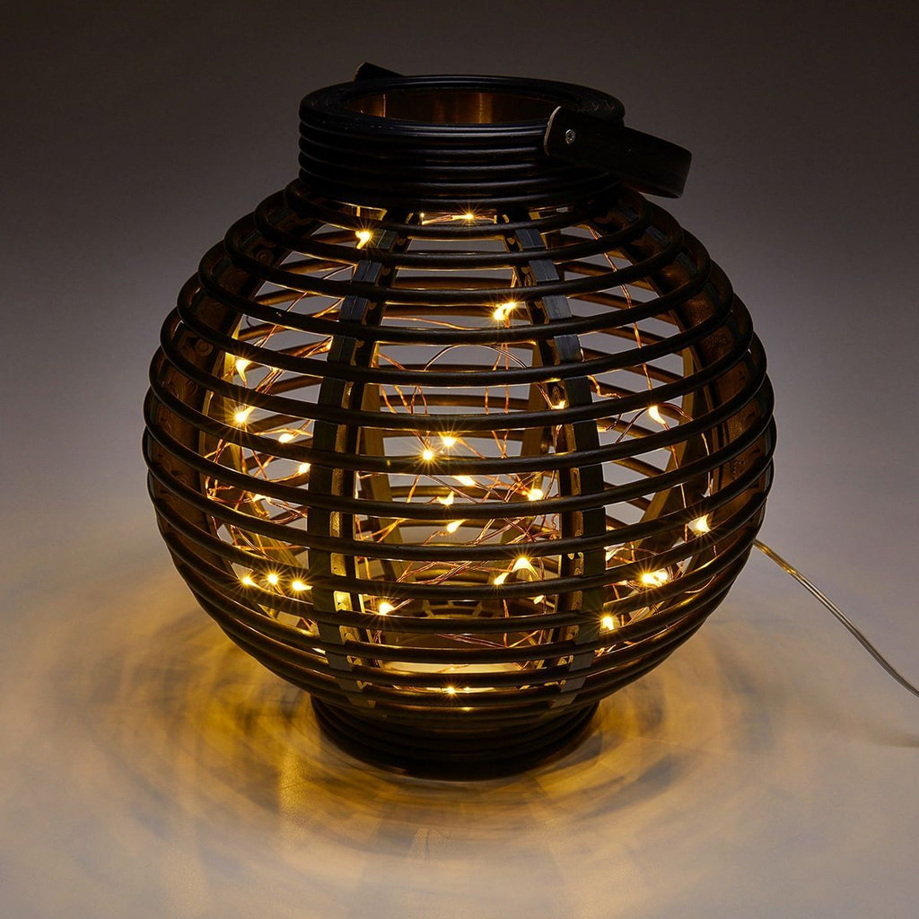 Warm White Copper Wire Lights with Remote M22815