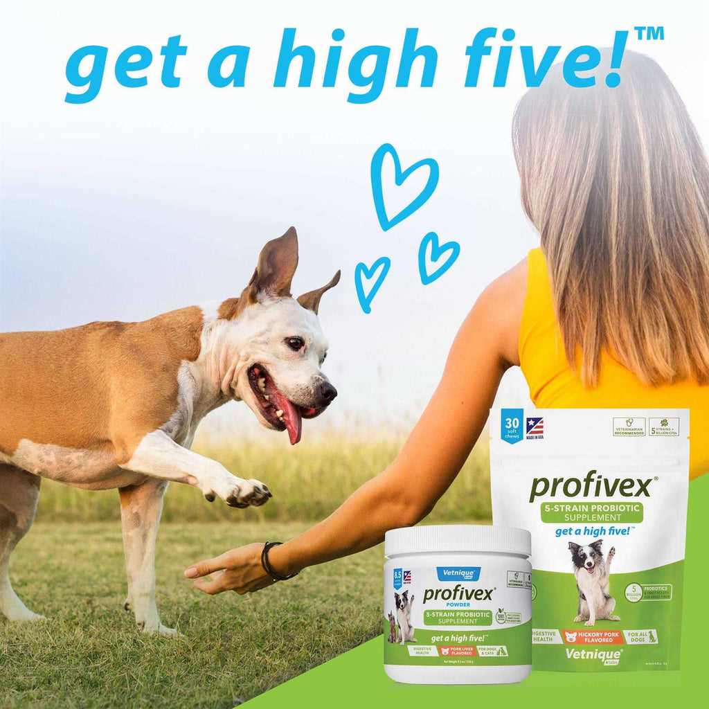 Probiotic Powder for Dogs & Cats A44977
