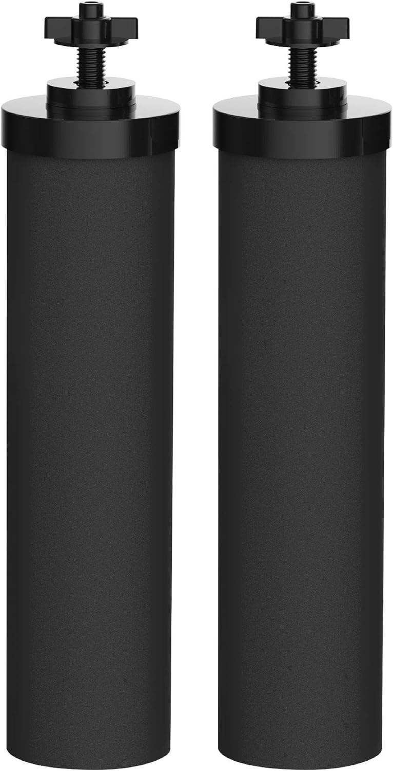 Water Filter Replacement Pack of 2 V615