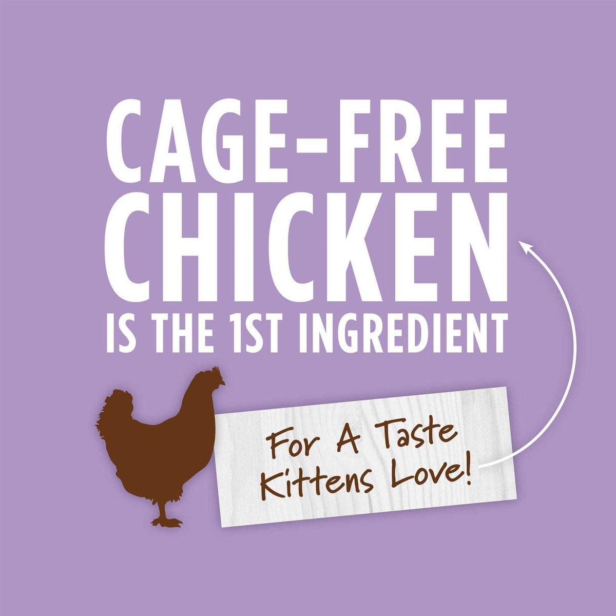 Grain-Free Real Chicken Wet Cat Food T55893