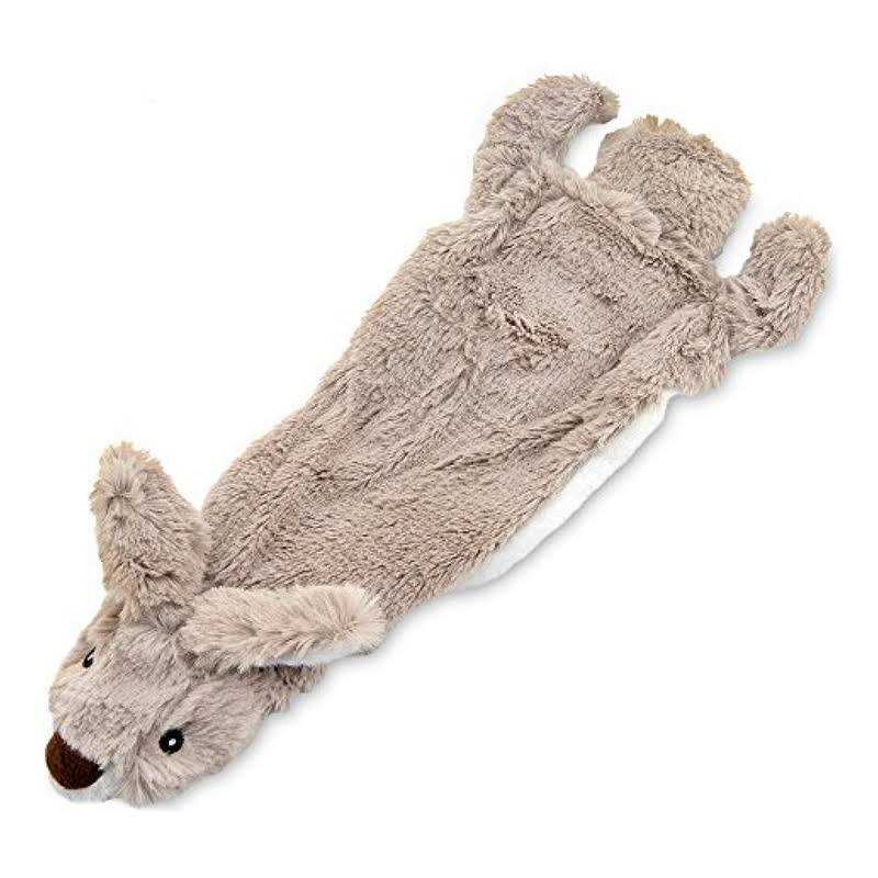 Stuffless Squeaky Dog Toys Y3494