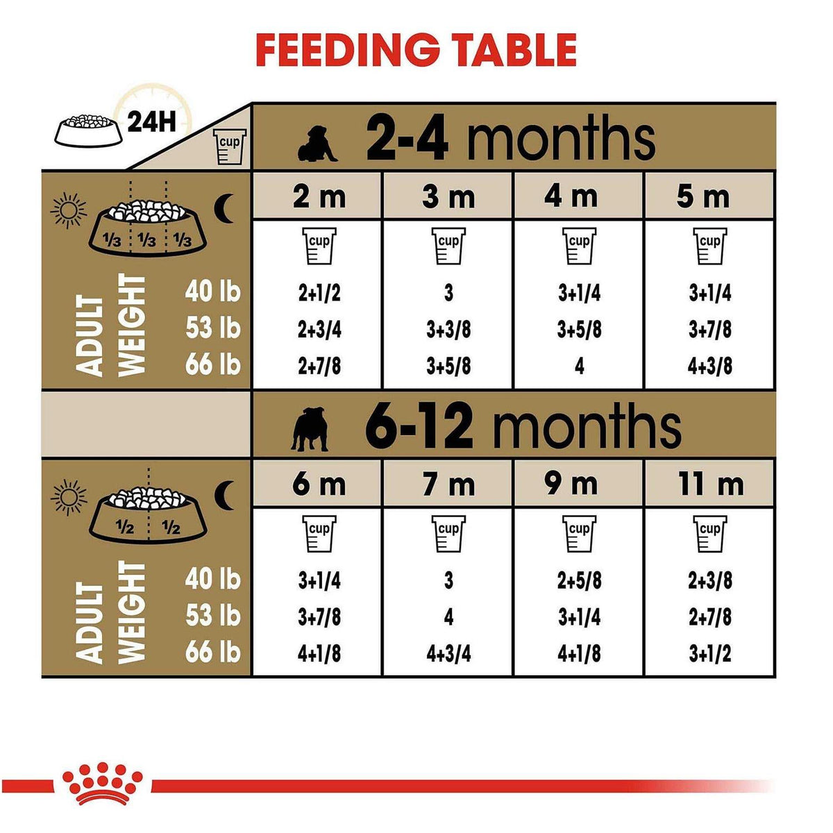 Bulldog Puppy Dry Dog Food Q833