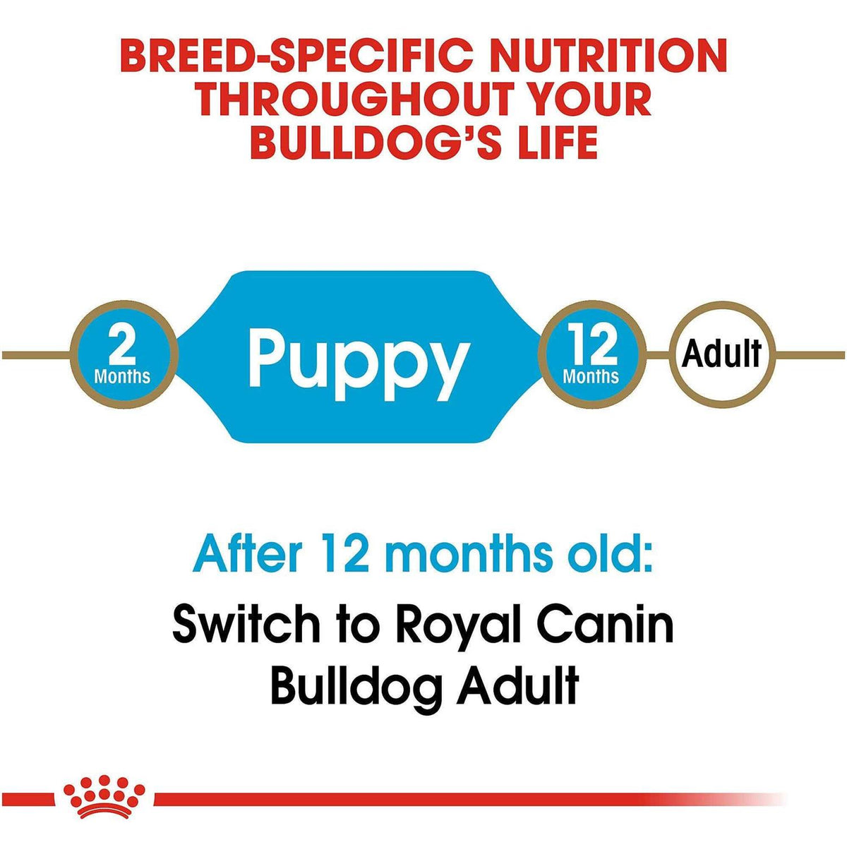 Bulldog Puppy Dry Dog Food Q833