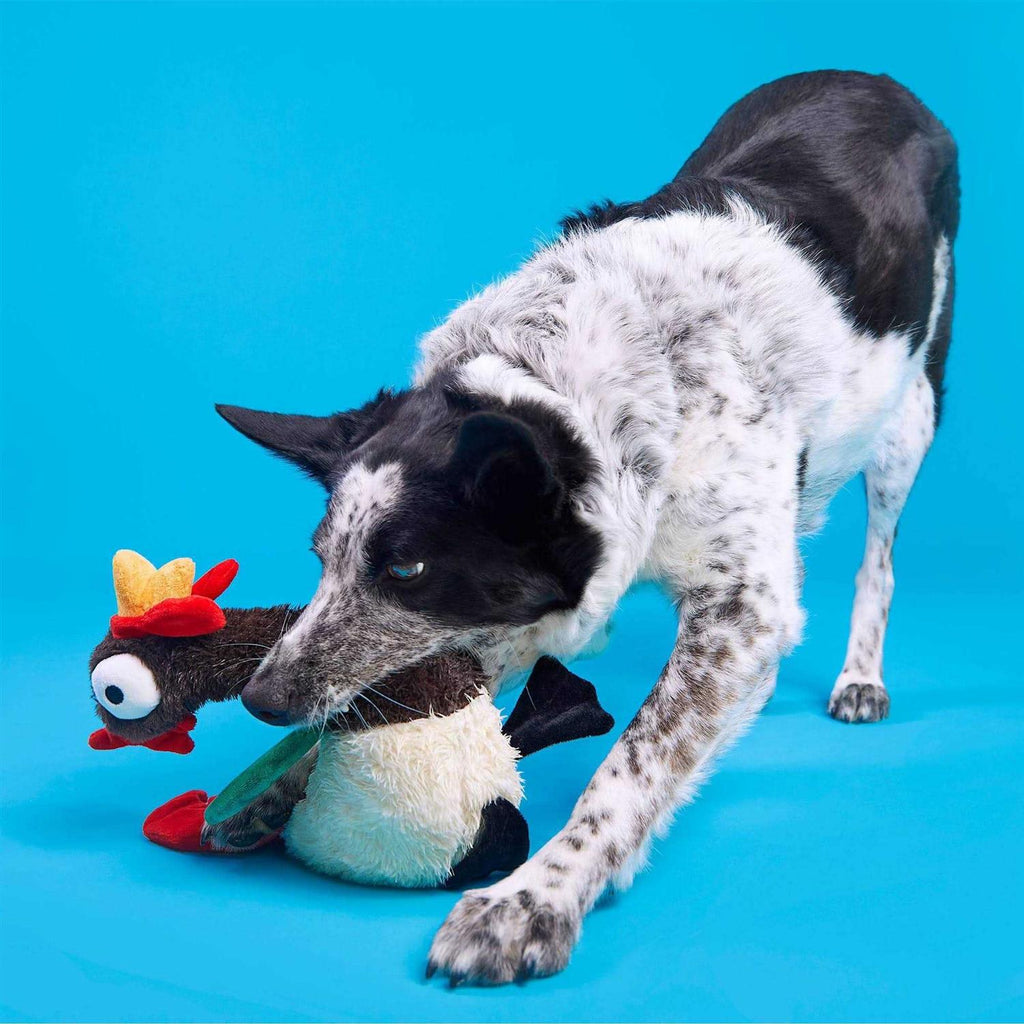 Dog Toy T76349