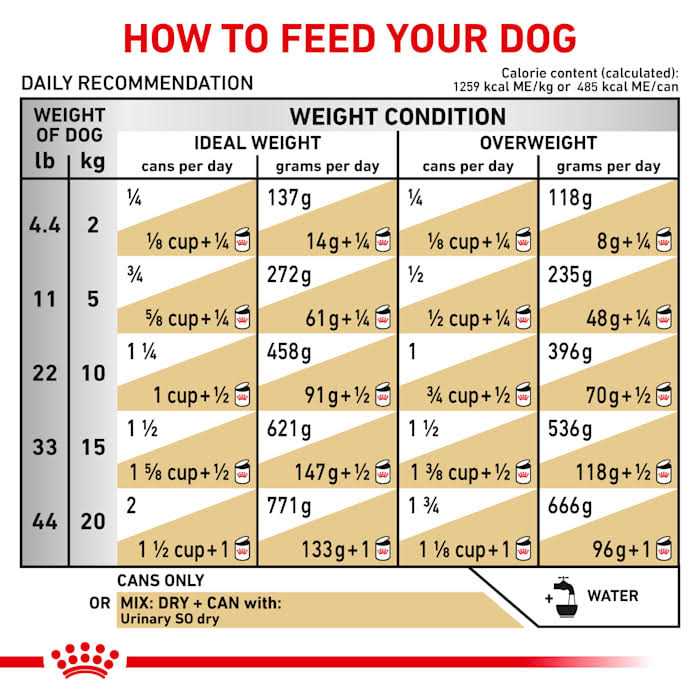 Canned Dog Food E896144
