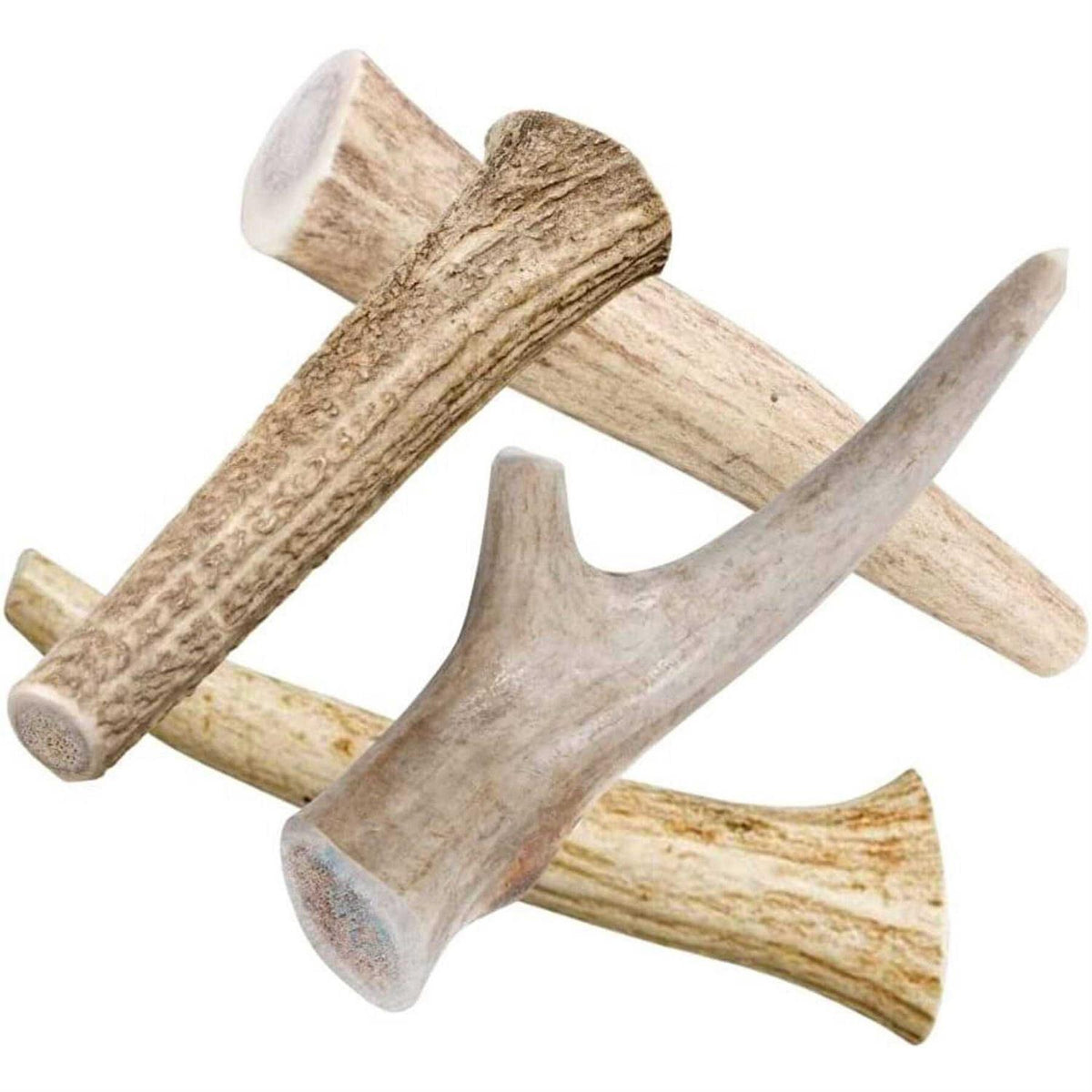 All Natural Whole Deer Antler Dog Chew Treats N9581