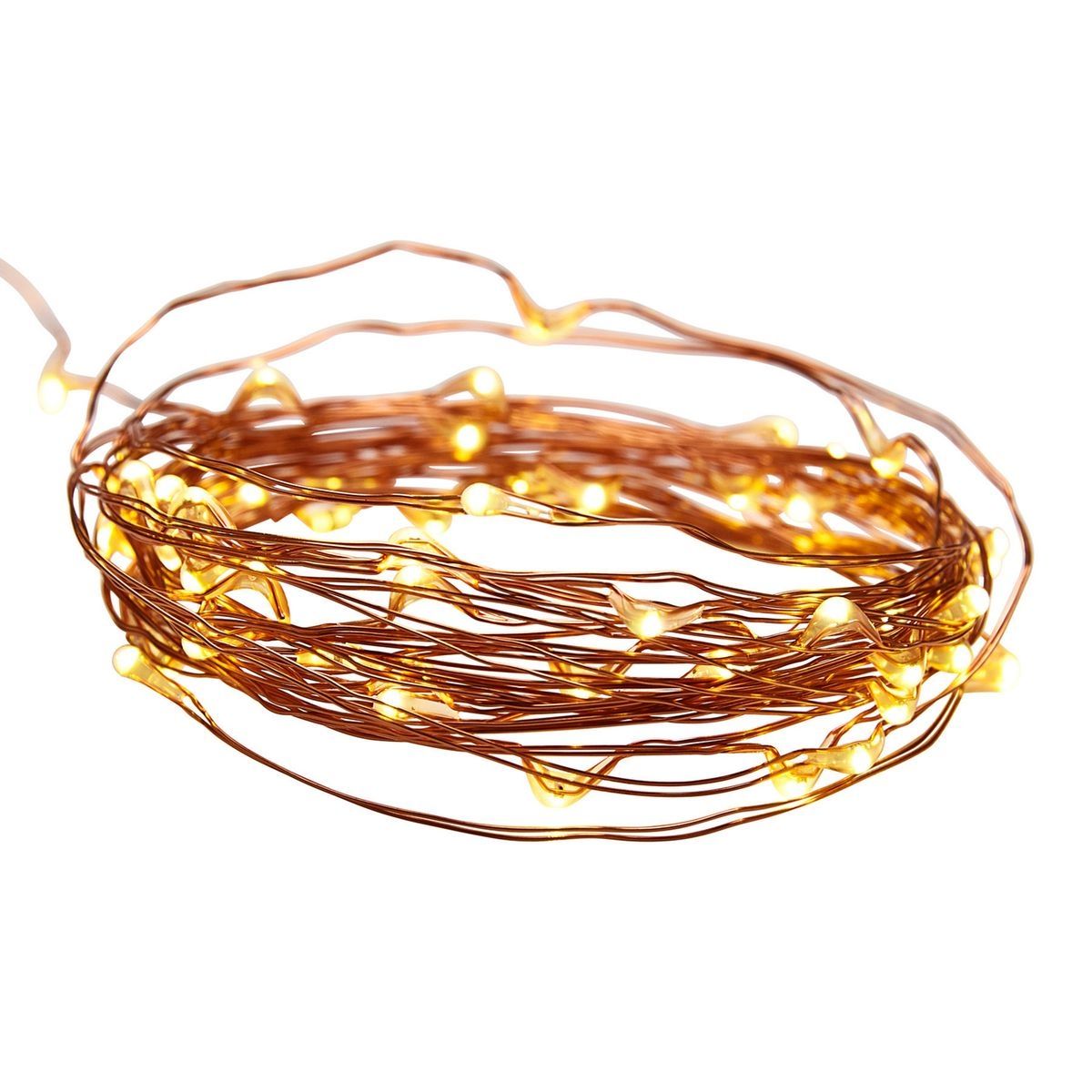 Warm White Copper Wire Lights with Remote M22815