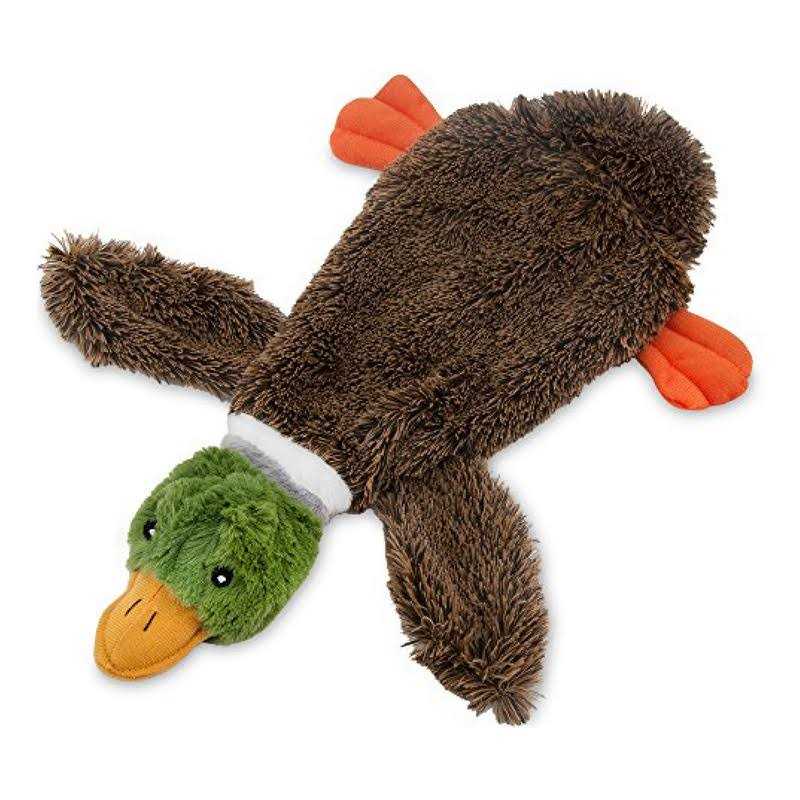 Stuffless Squeaky Dog Toys Y3494
