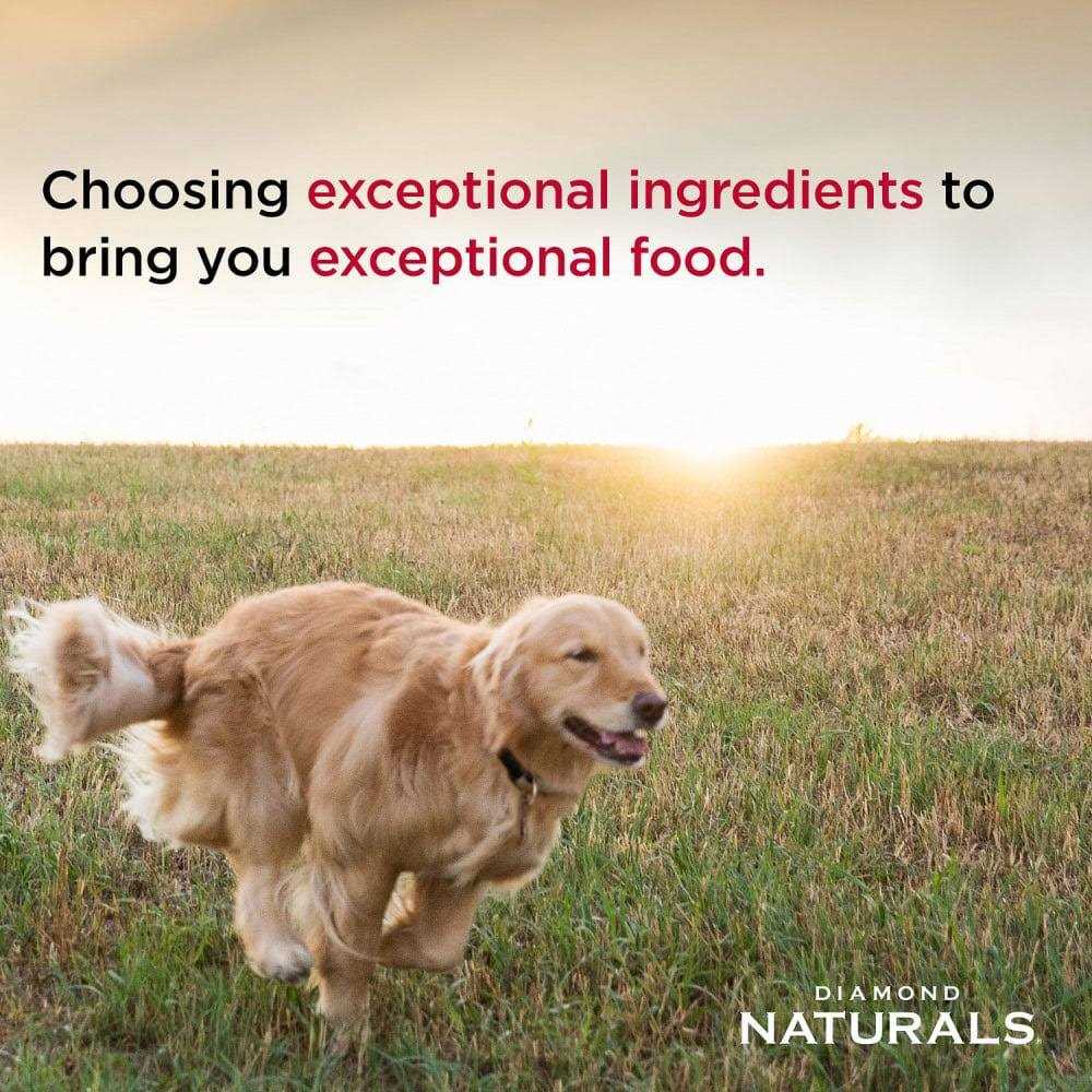 Dry Dog Food X40755