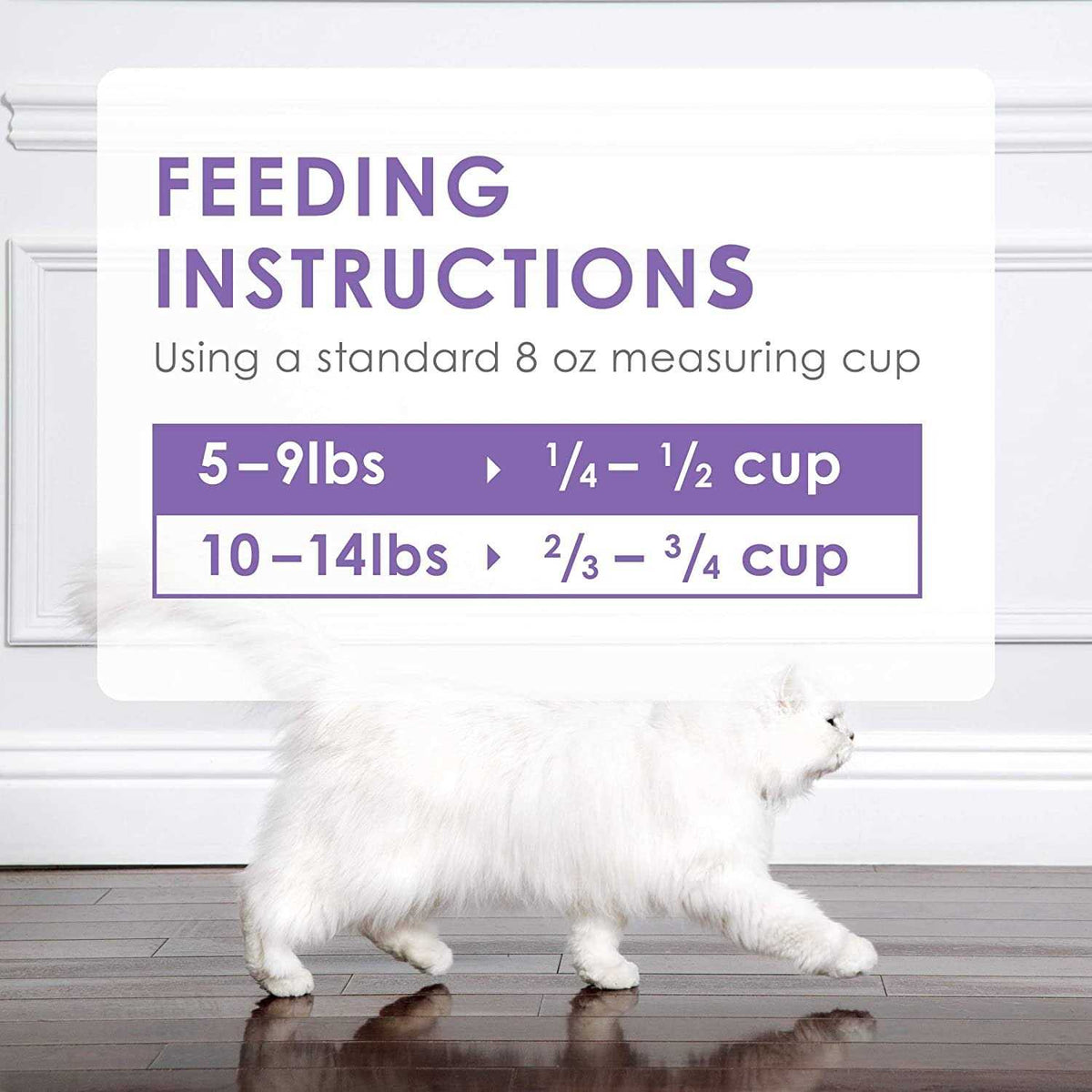 Dry Cat Food O937593