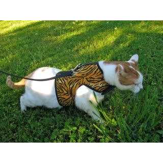 Cat Harness B44395