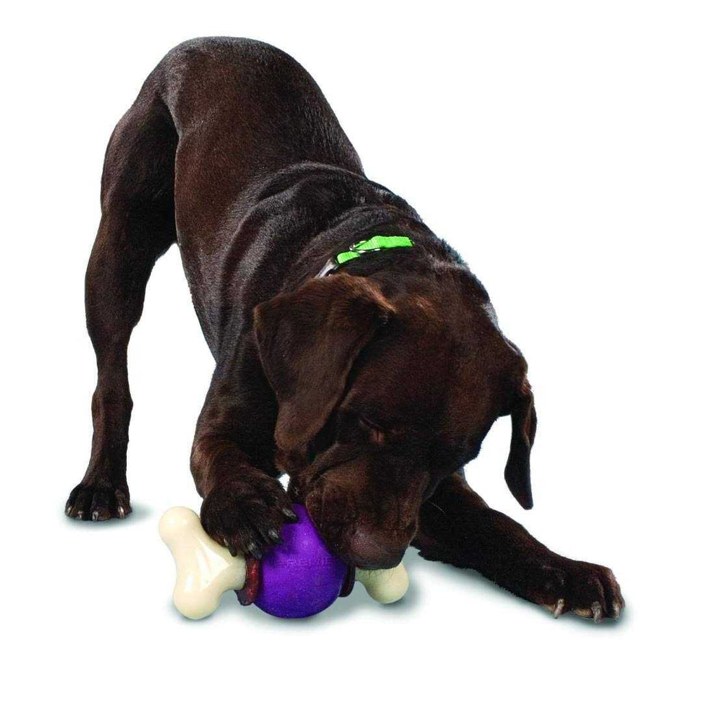 Bouncy Bone Z4611