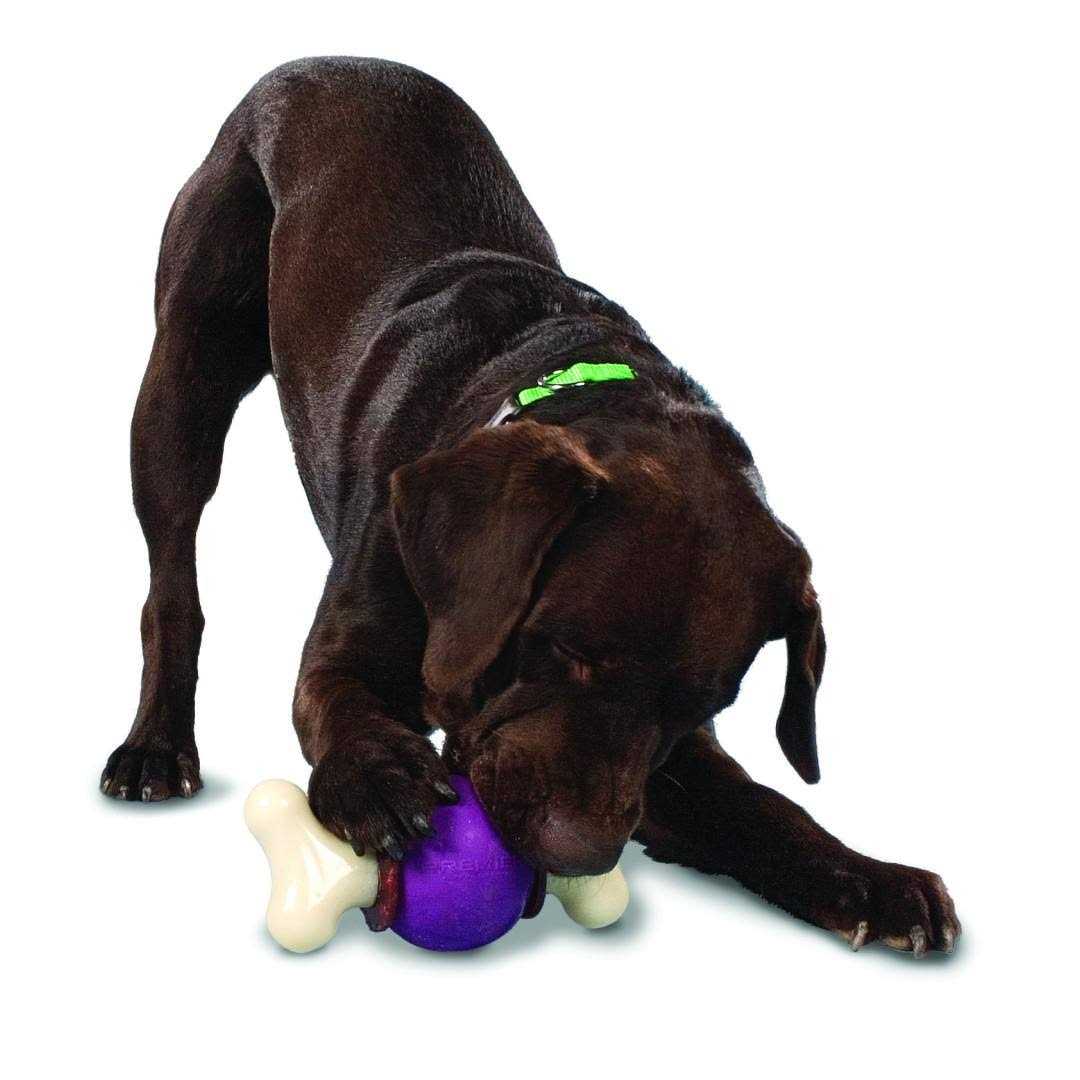 Bouncy Bone Z4611