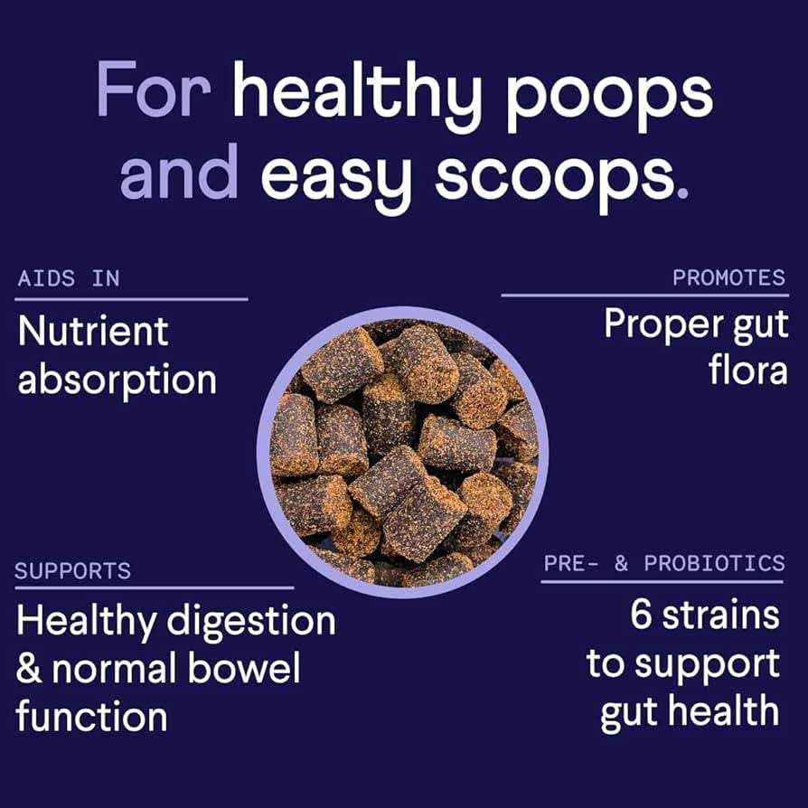 Probiotics Supplement for Dogs Z37847