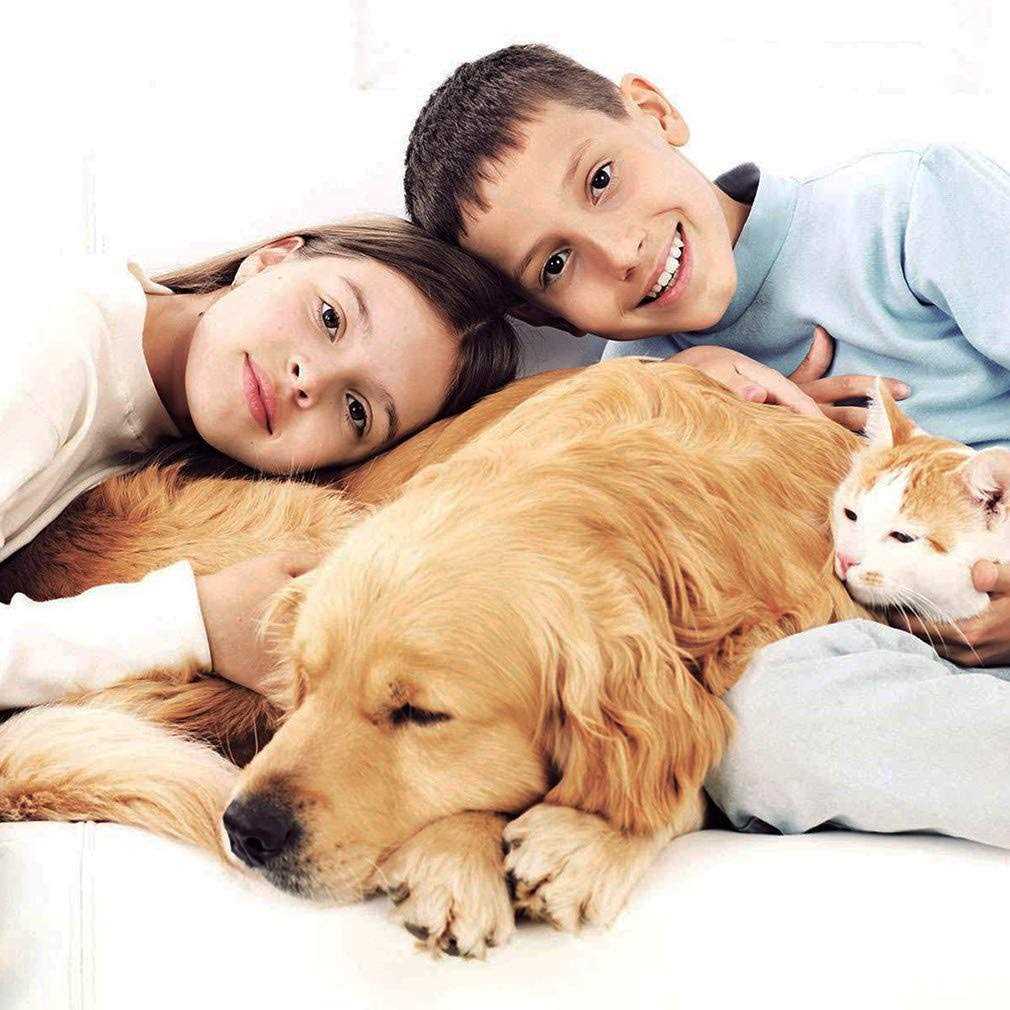 Pet Stroller Y8566