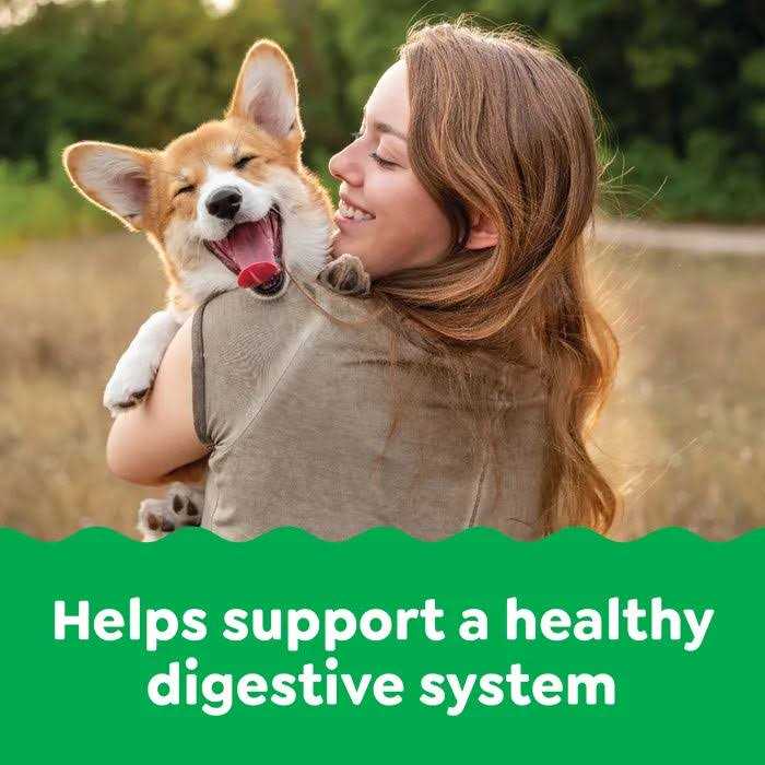 Probiotics Digestive Health Supplements for Dogs Chicken Flavor O70278