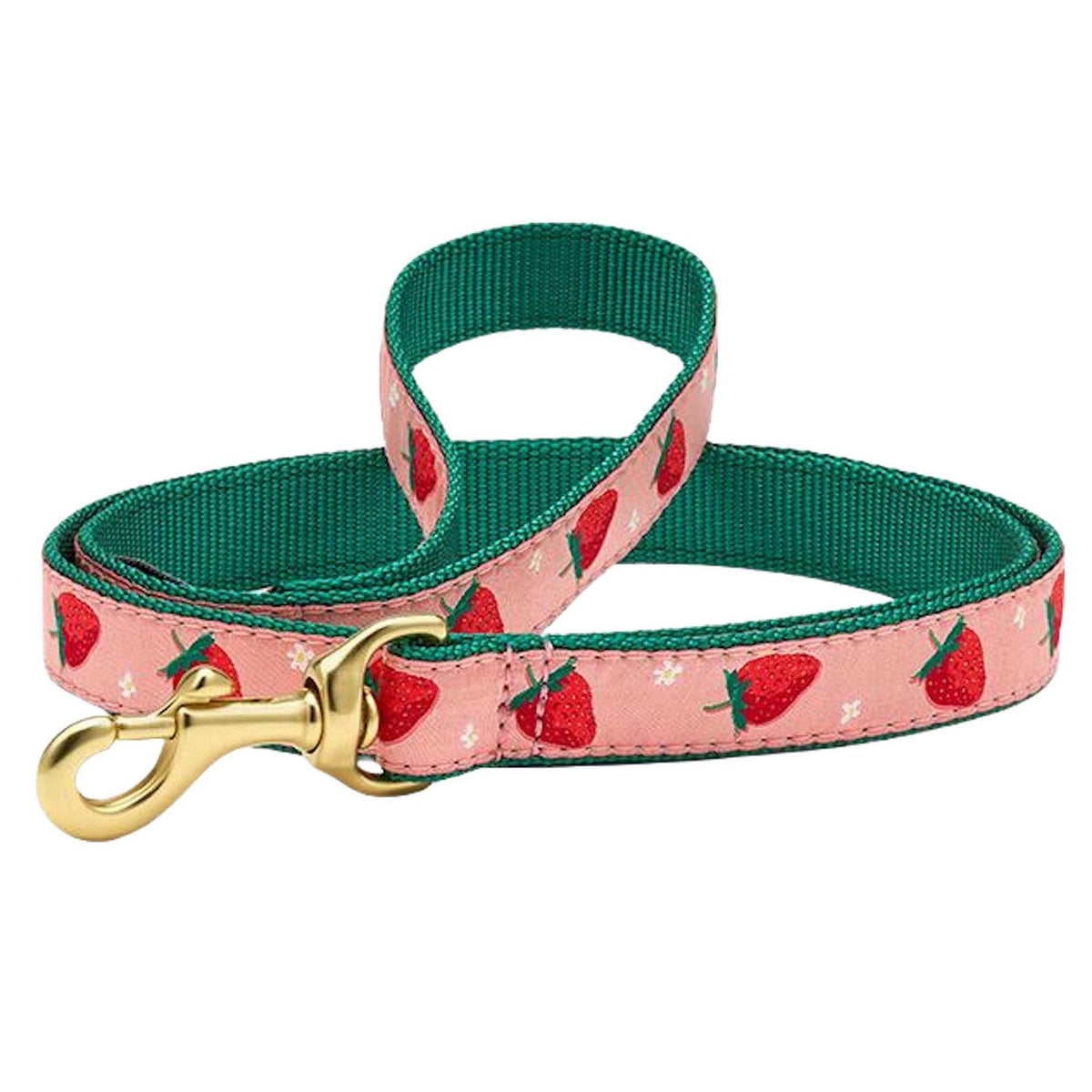 Strawberry Fields Dog Collar T8627
