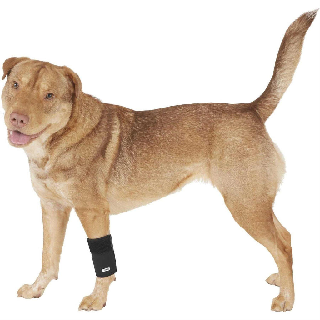 Dog Front Leg Compression Brace Sleeve G8553