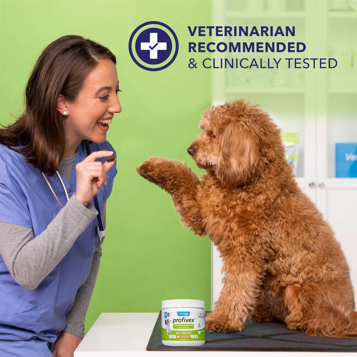Probiotic Powder for Dogs & Cats A44977