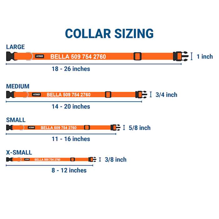 Nylon Personalized Dog Collar M439