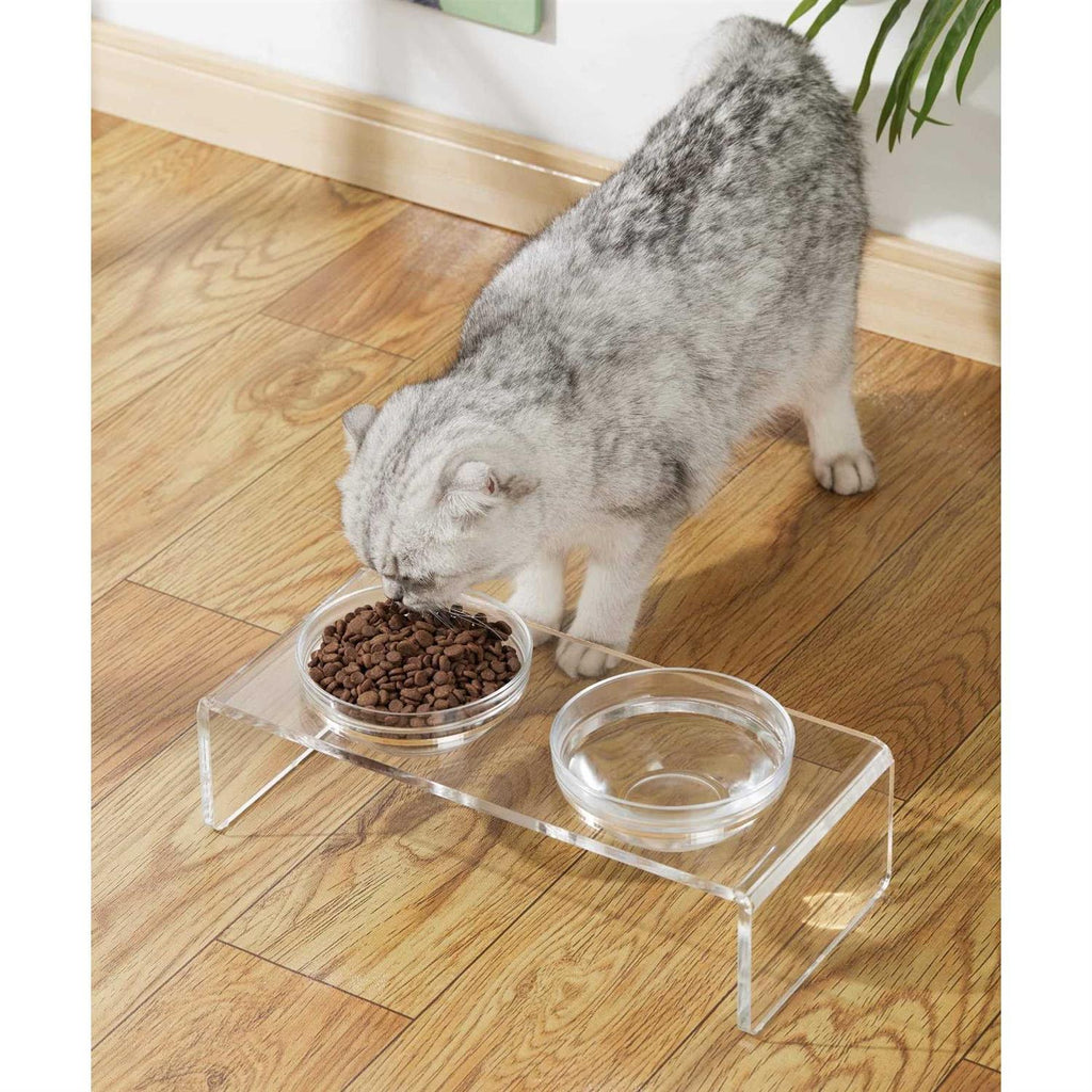 Acrylic Elevated Dog Cat Bowls with 2 Glass and 2 Stainless Steel Bowls J17917
