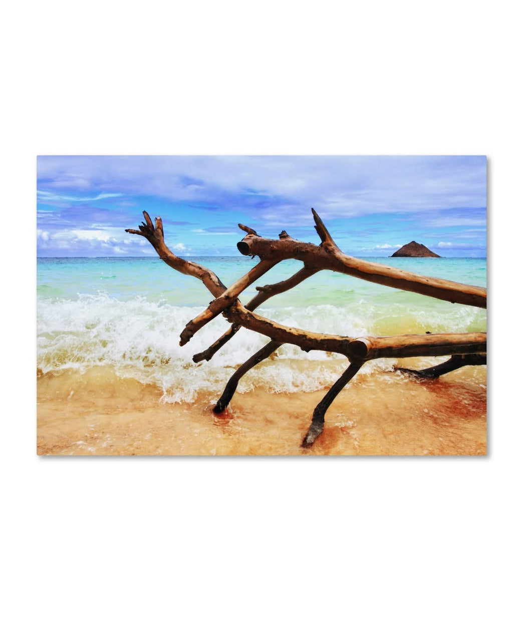 Canvas Art G47404