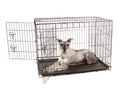 Double Door Metal Dog Crate K4856