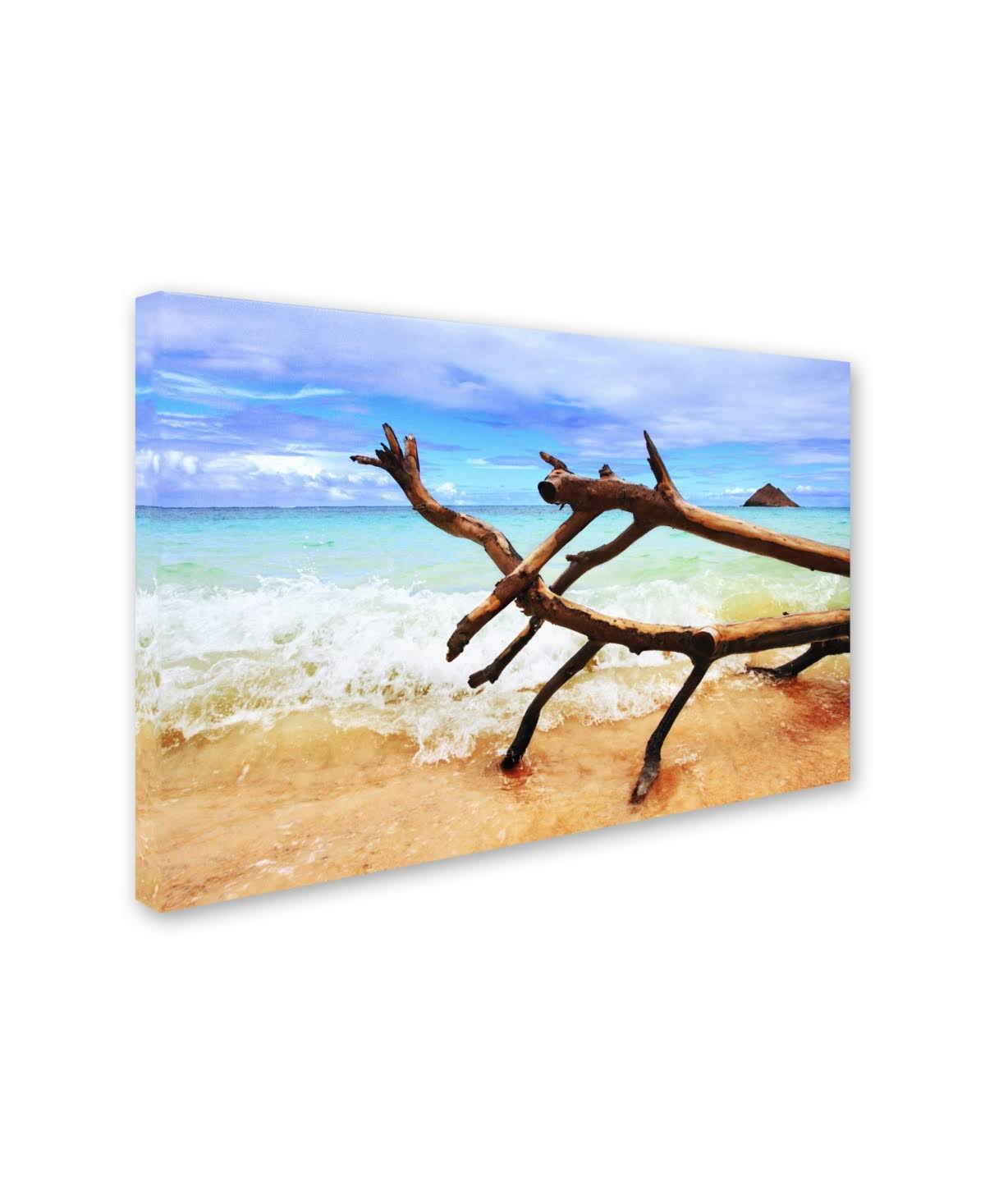 Canvas Art G47404