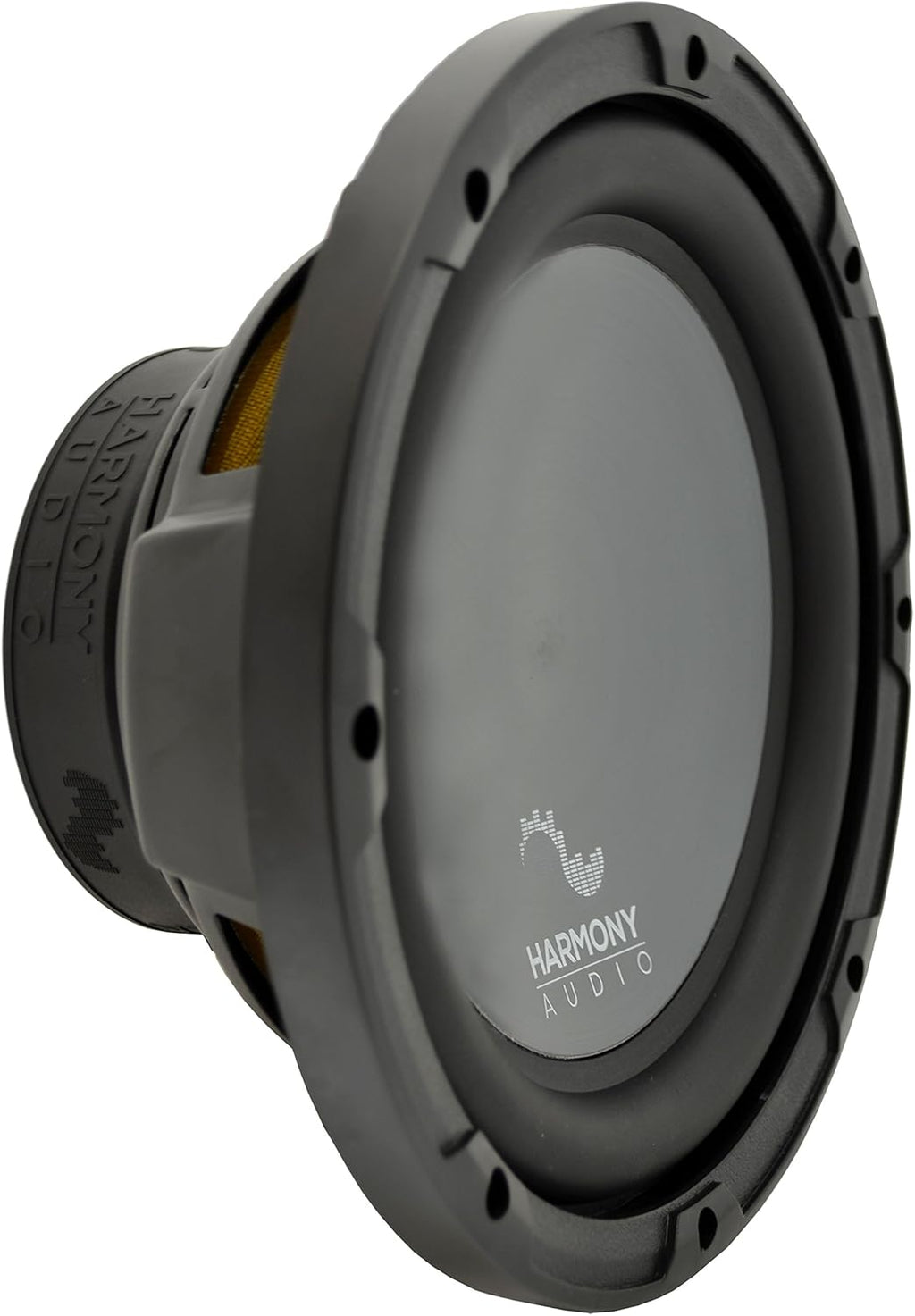 10 Sub 500W Single 4 Ohm Subwoofer Z788838