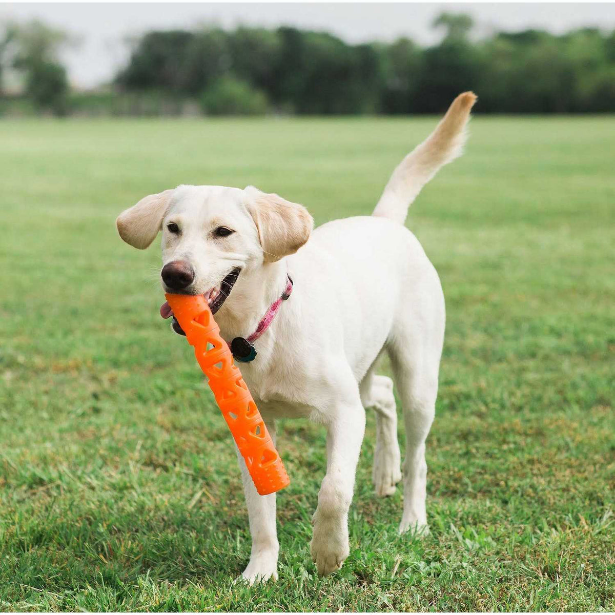 Air Fetch Stick Dog Toy K92777