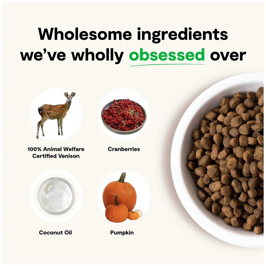 Grain Free Dry Dog Food Q138478