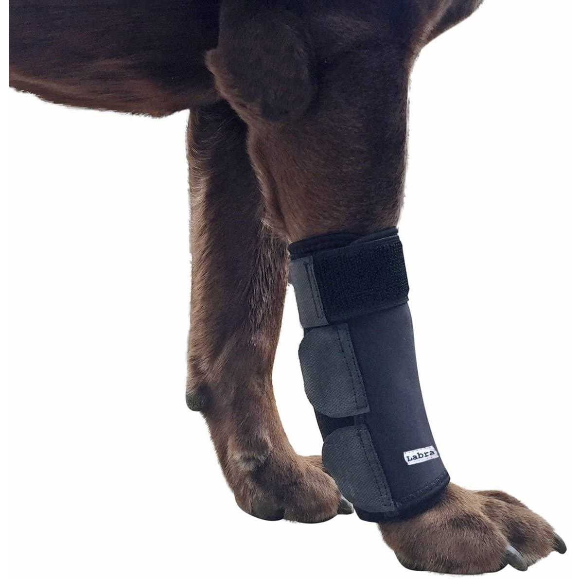 Dog Front Leg Compression Brace Sleeve G8553