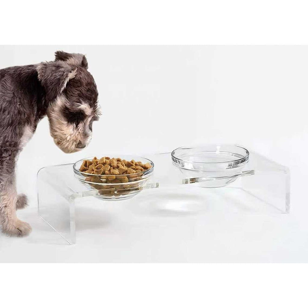 Acrylic Elevated Dog Cat Bowls with 2 Glass and 2 Stainless Steel Bowls J17917