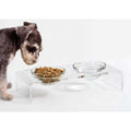 Acrylic Elevated Dog Cat Bowls with 2 Glass and 2 Stainless Steel Bowls J17917