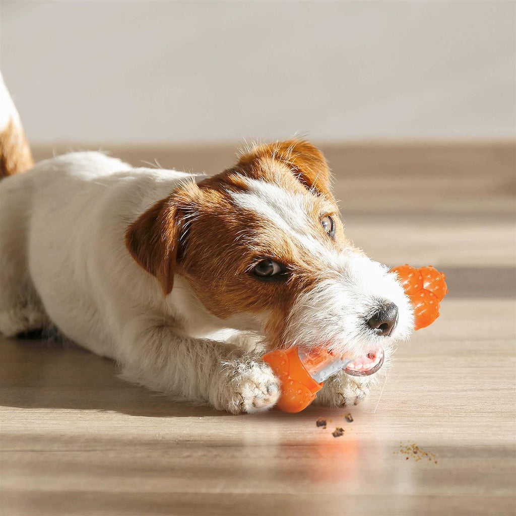 Bacon Dog Toy T173