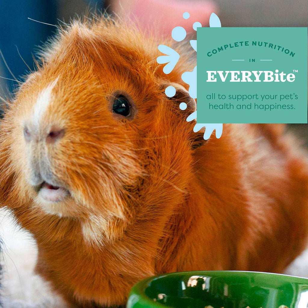 Senior Guinea Pig Food G250123