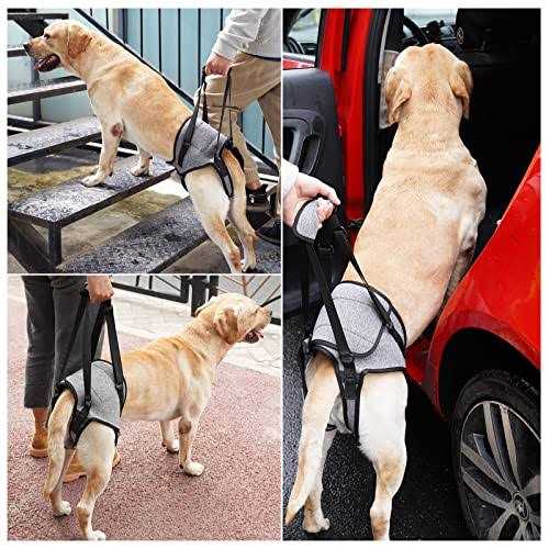 Dog Sling for Large Dogs Hind Leg Support M1134