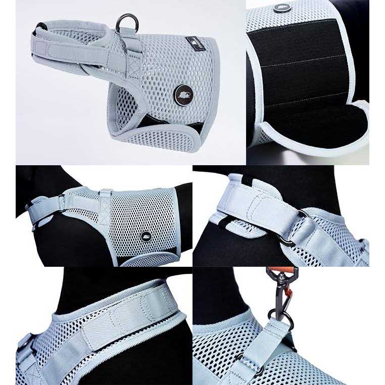 Martingale Walking Dog Harness K917525