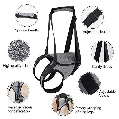 Dog Sling for Large Dogs Hind Leg Support M1134