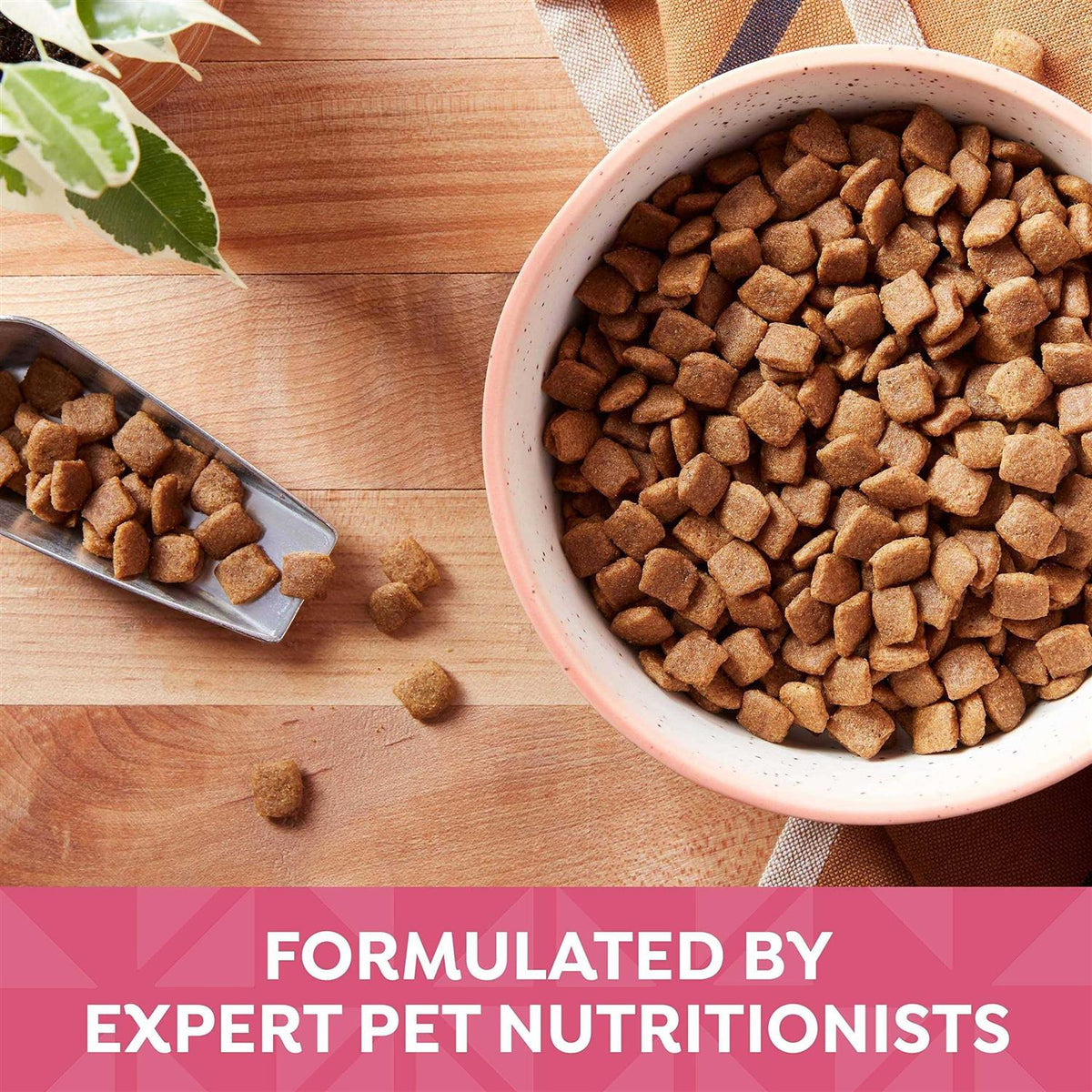 Grain Free Salmon Sweet Potato Dry Dog Food Z43984