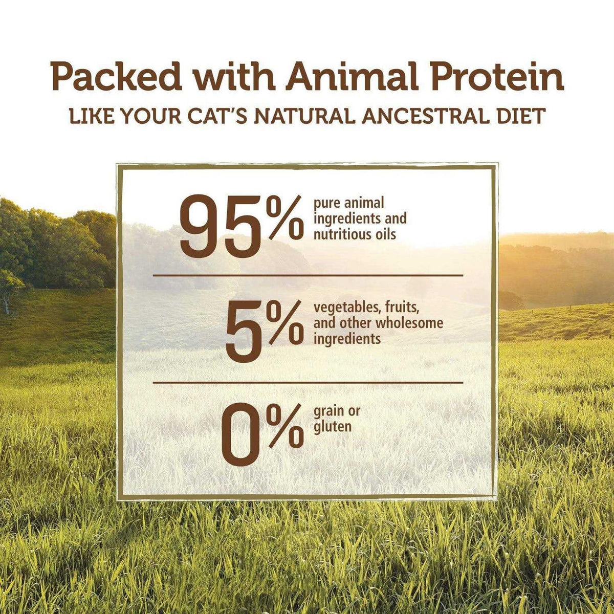 Grain-Free Canned Cat Food C730