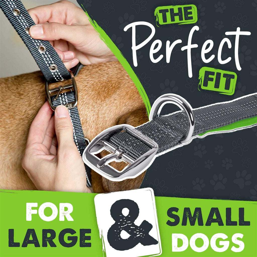 Dog Collar Y51189