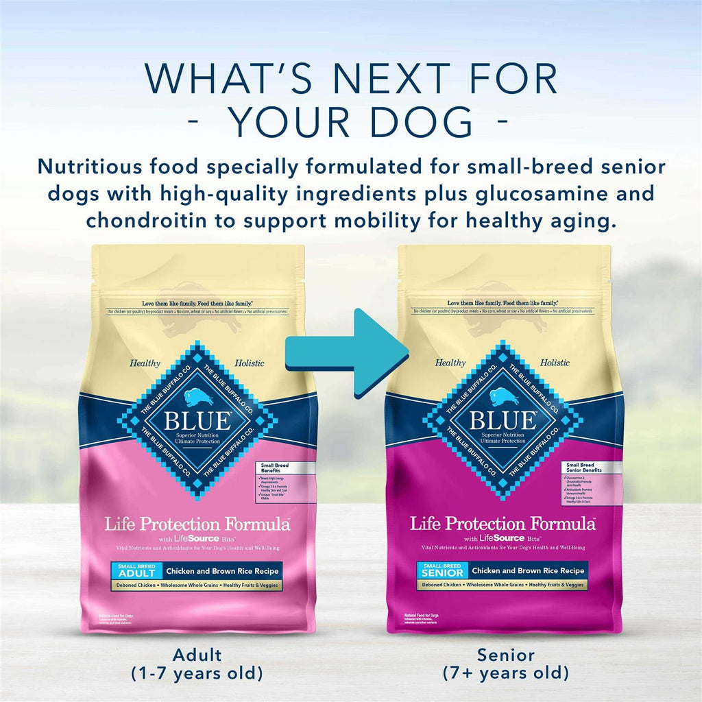 Dry Dog Food V545843